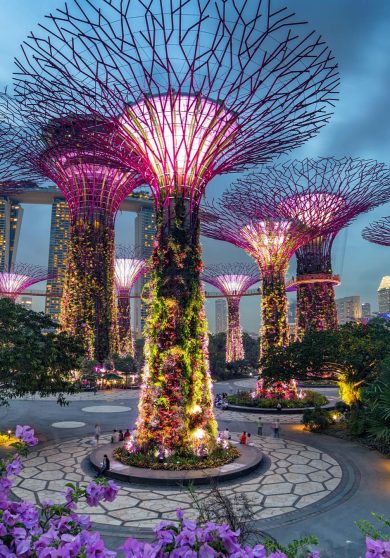Gardens-by-the-Bay